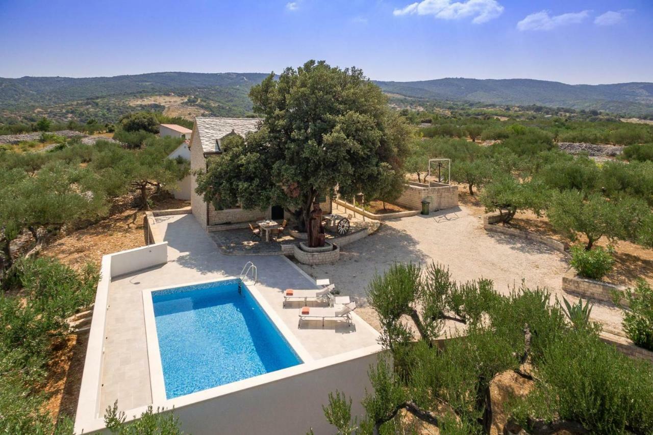 Villa Dubrava Tranquil Retreat Nestled In An Olive Grove For Serene Escapes 푸치스차 외부 사진
