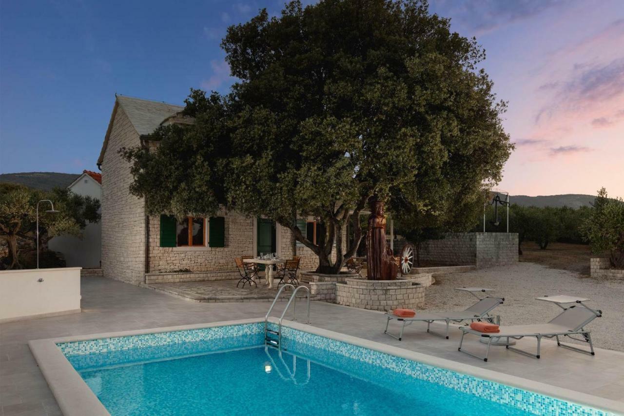 Villa Dubrava Tranquil Retreat Nestled In An Olive Grove For Serene Escapes 푸치스차 외부 사진