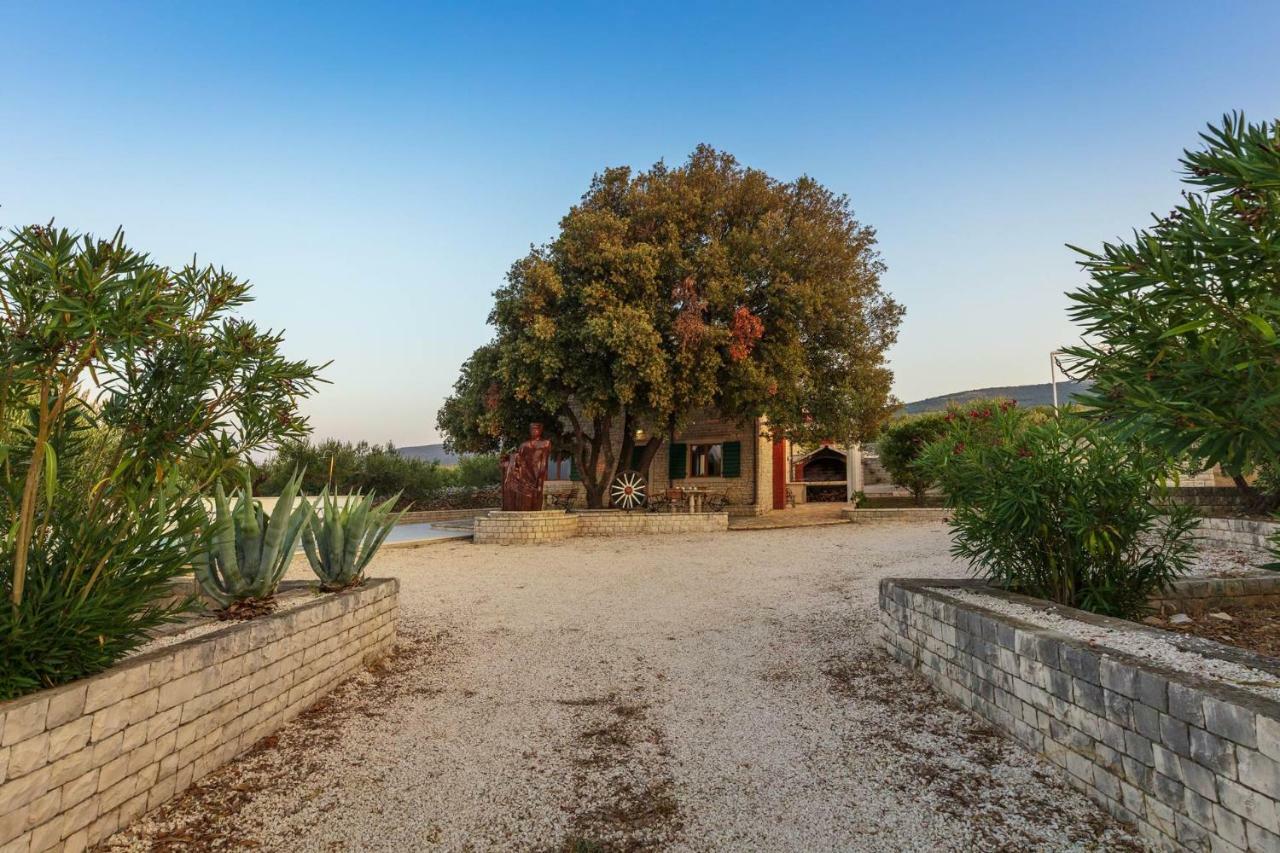 Villa Dubrava Tranquil Retreat Nestled In An Olive Grove For Serene Escapes 푸치스차 외부 사진