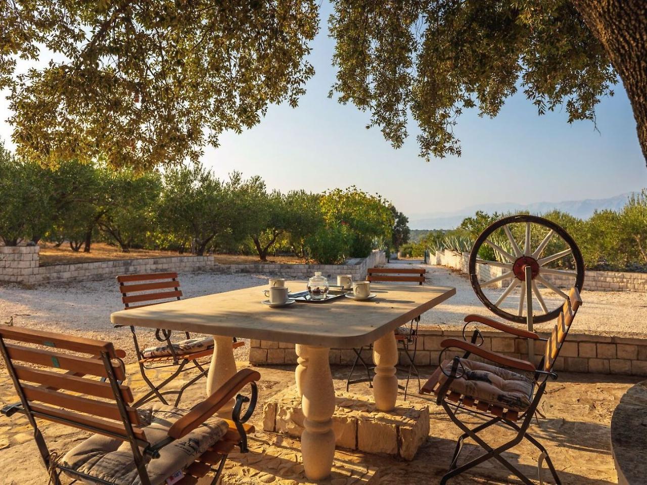 Villa Dubrava Tranquil Retreat Nestled In An Olive Grove For Serene Escapes 푸치스차 외부 사진