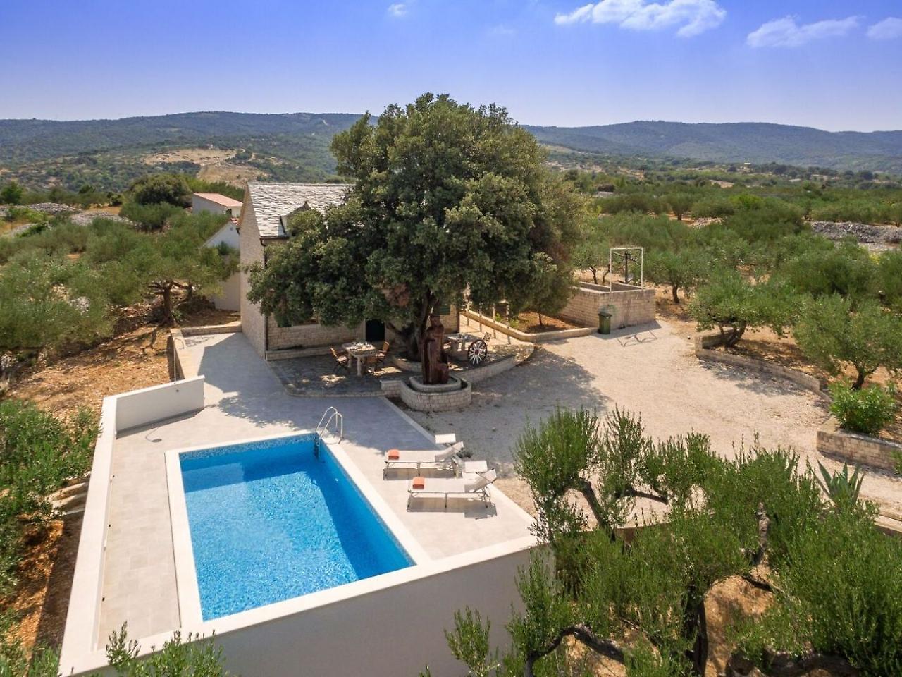 Villa Dubrava Tranquil Retreat Nestled In An Olive Grove For Serene Escapes 푸치스차 외부 사진