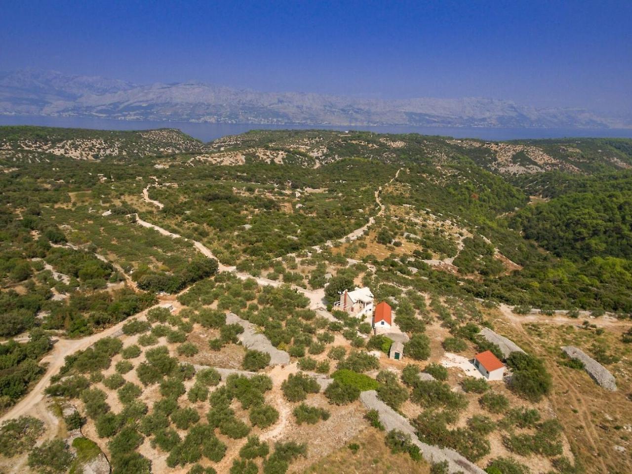 Villa Dubrava Tranquil Retreat Nestled In An Olive Grove For Serene Escapes 푸치스차 외부 사진